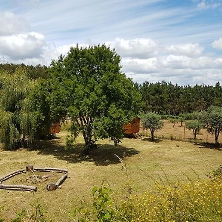 ホテル Quinta Portugo Cernache do Bonjardim エクステリア 写真