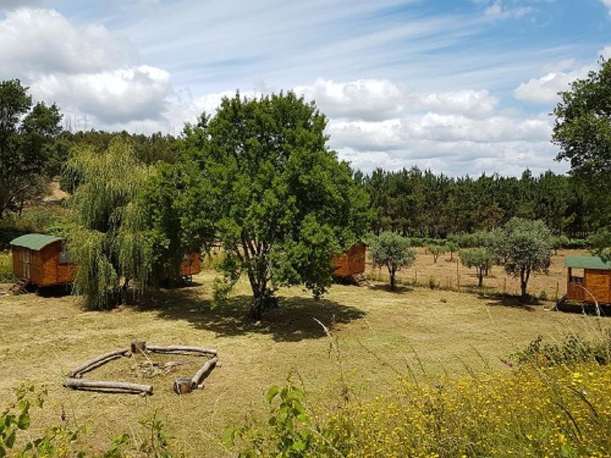 ホテル Quinta Portugo Cernache do Bonjardim エクステリア 写真