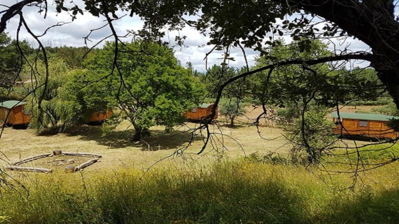 ホテル Quinta Portugo Cernache do Bonjardim エクステリア 写真